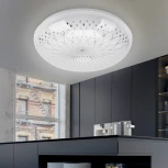 Потолочный светильник светодиодный ЭРА SPB-6-12-4K Feya