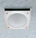 Потолочный светильник уличный Oasis Light 77803 SS (220V, IP44)