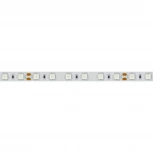 Светодиодная лента Arlight RT 2-5000 008816