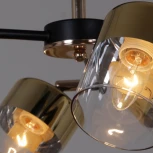 Потолочная люстра на штанге Reluce 11555-0.3-06 BK+FGD