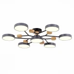 Потолочная люстра на штанге Evoluce Faema SLE6006-702-07