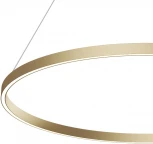Подвесной светильник Maytoni Rim MOD058PL-L54BS4K