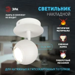 Спот ЭРА OL36 WH