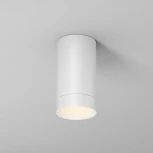 Потолочный светильник IP65 светодиодный Maytoni Luxe O500CL-L5W3K (220V, круглые)