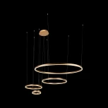 Подвесной светильник Loft IT Ring 10017/4S (LED, 220V, на тросе, кольцо)