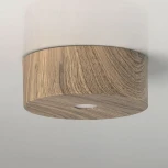 Потолочный светильник DeMarkt Иланг 712010101