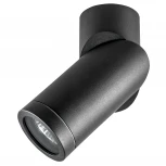 Спот карданный Lightstar ILLUMO F 051017 (220V, круглые, IP65)