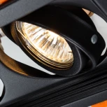 Встраиваемый точечный светильник Arte Lamp Canis A6661PL-2BK (220V)