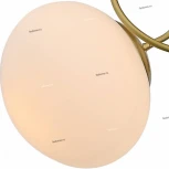 Потолочная люстра ST Luce Acini SL717.202.06 (220V, шарики)