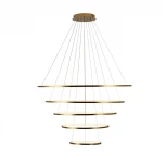 Подвесной светильник Loft IT Ring 10015/5 (LED, 220V, на тросе, кольцо)