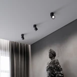 Светильник потолочный светодиодный Elektrostandard Rolly 25112/LED черный (220V, круглые)