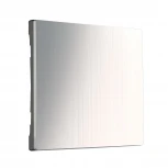 Клавиша для выключателя перекрестного (глянцевый никель) Werkel W1119002 (a051077)