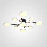 Потолочная люстра с пультом на штанге LED Lu Carte LC-11-1715