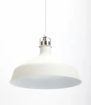 Подвесной светильник Эра PL2 WH/SN