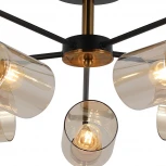 Потолочная люстра на штанге ILLUMICO IL8248-5COU-79 BK GD (220V)