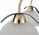 Потолочная люстра на штанге Arte Milano Napoli 327306/5 FG+BK (220V)