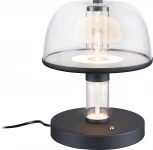 Настольная лампа Favourite Flaska 4312-1T (LED, 220V, выключатель)