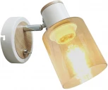 Спот Rivoli Jamilly 7057-701 (220V, выключатель)