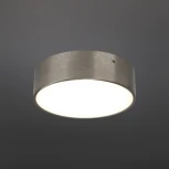 Потолочный светильник круглый Aployt Evon APL.0114.19.12 (LED, 220V, круглые)