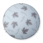 Настенно-потолочный светильник Vitaluce V6285/2A