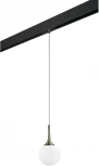 Трековый светильник однофазный 220V Lightstar Globo PRO813011 (шар)