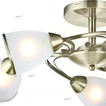 Потолочная люстра Arte Lamp Innocente A6056PL-5AB
