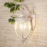 Настенный фонарь уличный Elektrostandard Andromeda белое золото GLYF-8024D