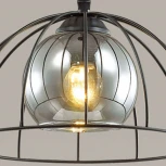 Подвесной светильник Lumion Shelby 3713/1A