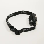 Налобный фонарь Gauss GF304