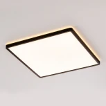 Настенно-потолочный светильник светодиодный с подсветкой Citilux Norma CL748K401 (220V, IP40)