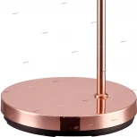 Торшер изогнутый для чтения Globo NEWCASTLE 58227C (220V, выключатель)