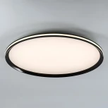 Потолочный светильник светодиодный с пультом с регулировкой цветовой температуры LED4U LED4U L3020-600 BK