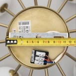 Потолочная люстра на штанге Citilux Tonga CL212193 (220V, шарики)