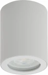 Накладной точечный светильник Denkirs DK3007 DK3007-WH (220V, IP44)