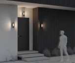 Настенный уличный светильник Maytoni Conf O451WL-01GF (220V, круглые, IP54)