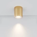 Потолочный светильник Maytoni Spark C094-GU10-MG