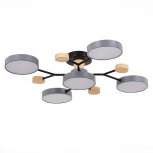 Потолочная люстра на штанге Evoluce Faema SLE6006-702-05