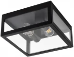 Потолочный светильник уличный Arte Lamp Belfast A4569PF-2BK