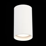 Светильник потолочный ST Luce ST157.532.20 (LED, 220V, круглые, IP44)