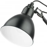 Бра на гибкой ножке Lightstar Loft 765607 (220V)