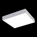 Потолочный светильник Favourite Flashled 2066-30C