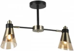 Потолочная люстра на штанге Imex MD.51902-2-S-BK+AB