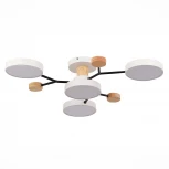 Потолочная люстра на штанге Evoluce Faema SLE6006-502-04