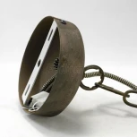 Подвесной светильник Lussole Loft Selma GRLSP-9502 (220V, на цепи, круглые, IP21)