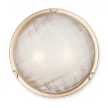 Настенно-потолочный светильник Vitaluce V6396/2A