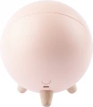 Ночник светодиодный с выключателем регулировкой яркости и зарядкой от USB ЭРА NLED-468-1W-P