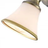 Спот Freya Jasinta FR2272-WL-01-BS (220V, круглые)