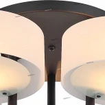 Потолочная люстра ST Luce Foresta SL483.402.05