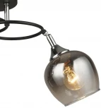 Потолочная люстра Wedo Light Vitero 66666.01.13.02