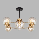 Потолочная люстра Eurosvet Creek 70118/6 черный